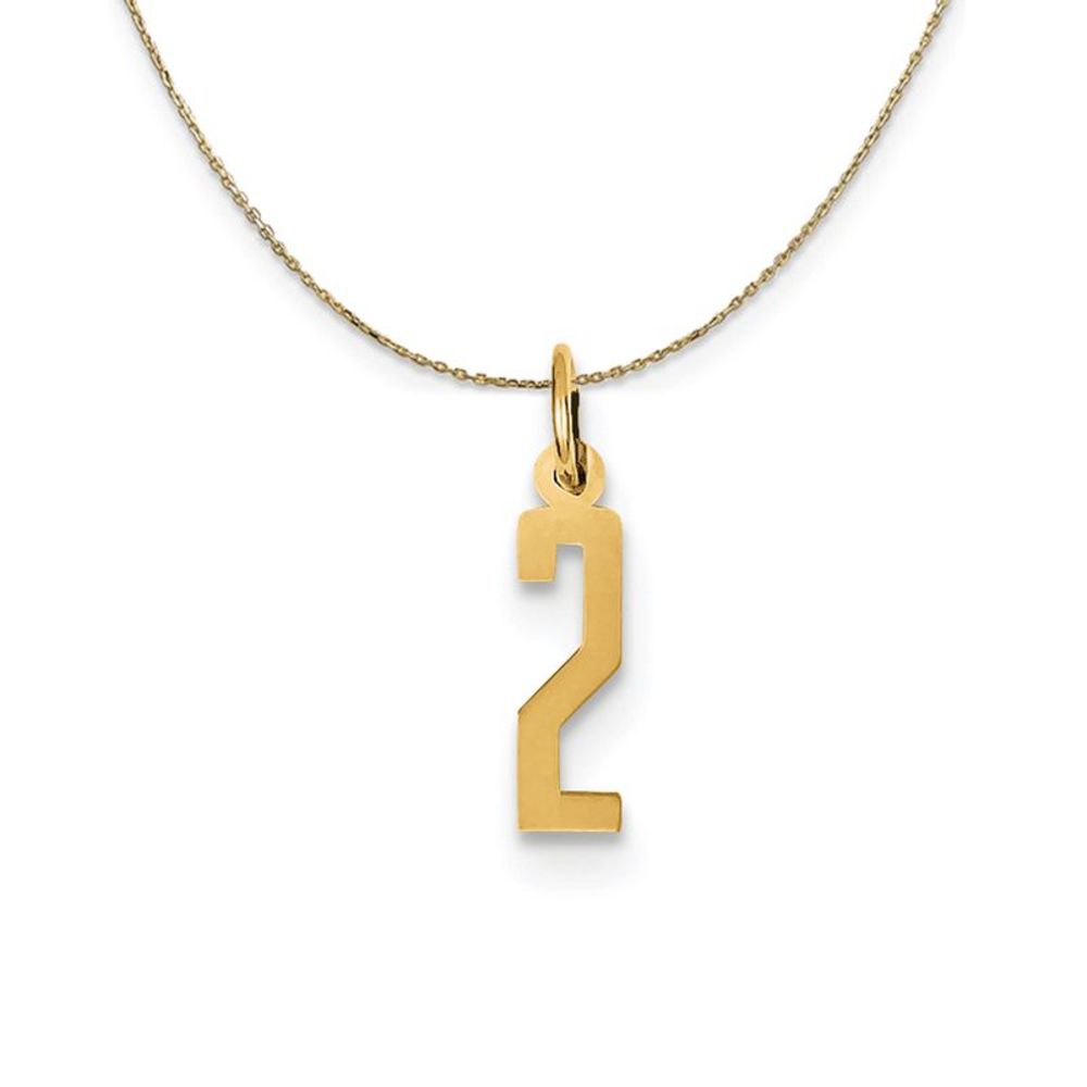 14k Yellow Gold, Alumni Small Elongated Number 2 Necklace - 20 Inch